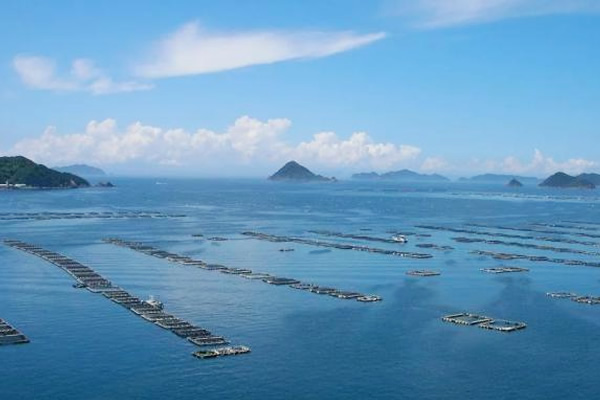 恒溫海水養殖熱泵機助力水產養殖業發展